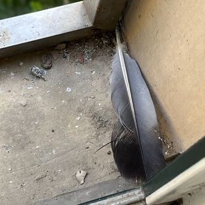 北条麻妃流出来了好多
