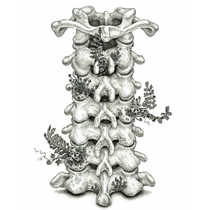 北条麻妃流出来了好多
