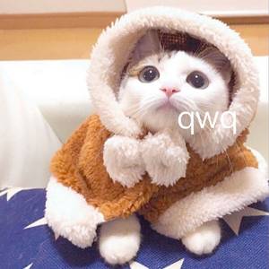 北条麻妃流出来了好多
