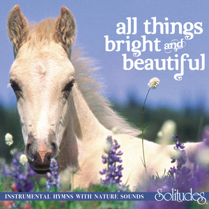 北条麻妃流出来了好多
